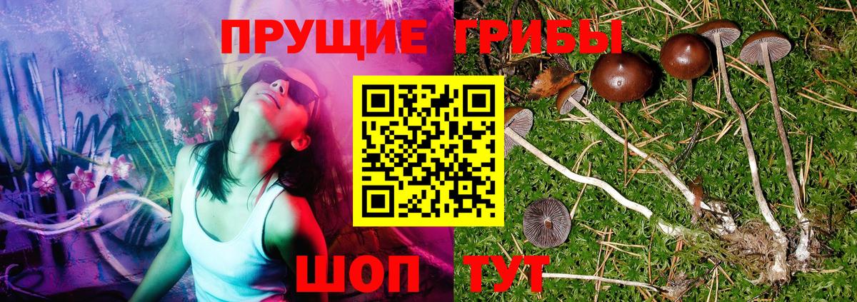 Юрга  Псилоцибиновые грибы MAGIC MUSHROOMS  Псилоцибиновые грибы мицелий  хочу   Вход с VPN 